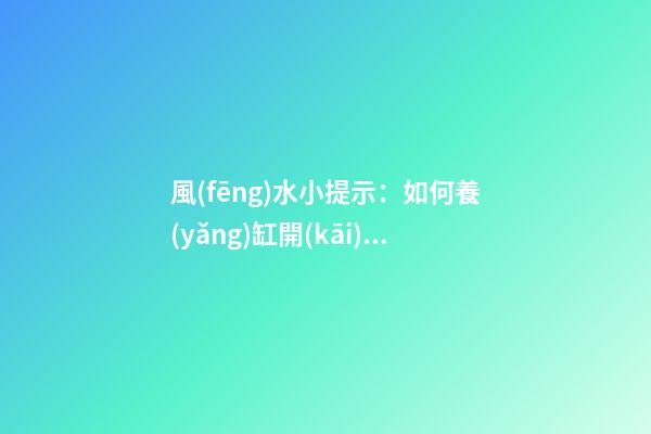 風(fēng)水小提示：如何養(yǎng)缸開(kāi)運(yùn)的風(fēng)水魚(yú)