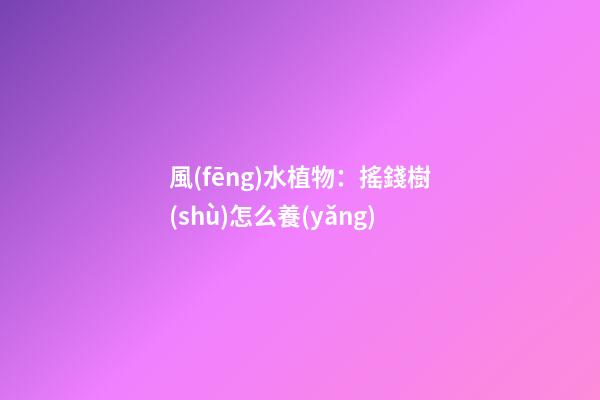風(fēng)水植物：搖錢樹(shù)怎么養(yǎng)