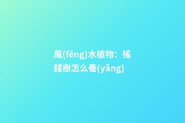 風(fēng)水植物：搖錢樹怎么養(yǎng)