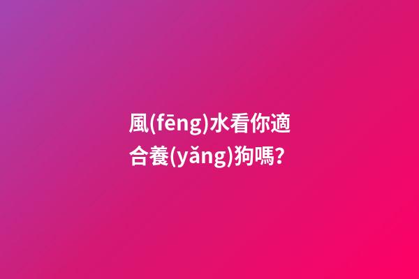風(fēng)水看你適合養(yǎng)狗嗎？