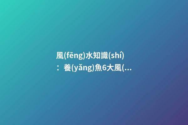 風(fēng)水知識(shí)：養(yǎng)魚6大風(fēng)水禁忌
