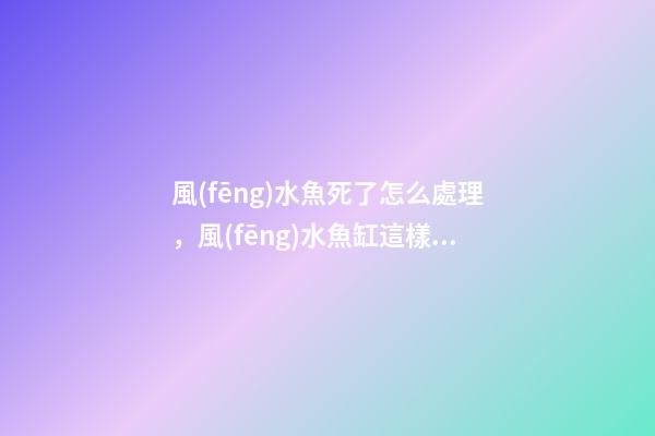 風(fēng)水魚死了怎么處理，風(fēng)水魚缸這樣布置才合適