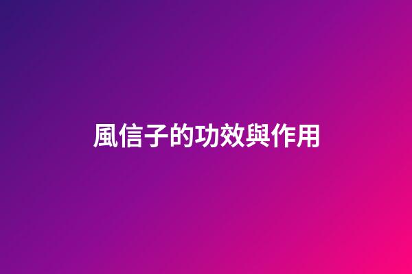 風信子的功效與作用
