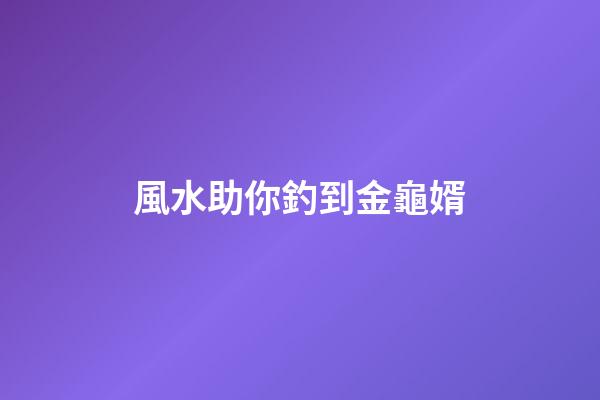 風水助你釣到金龜婿