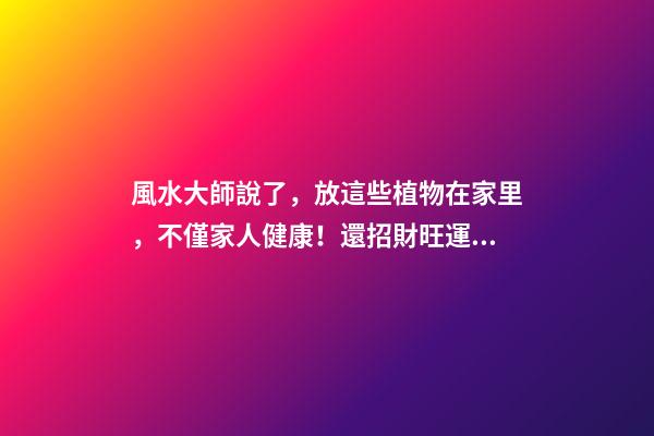 風水大師說了，放這些植物在家里，不僅家人健康！還招財旺運！