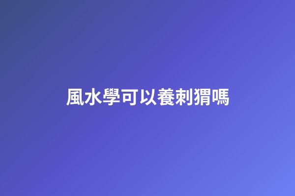 風水學可以養刺猬嗎