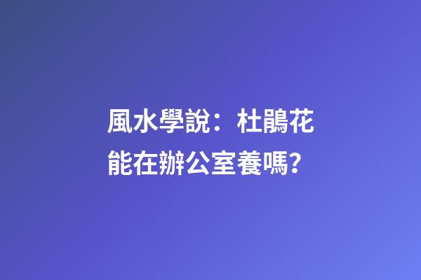 風水學說：杜鵑花能在辦公室養嗎？