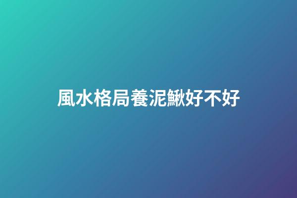 風水格局養泥鰍好不好
