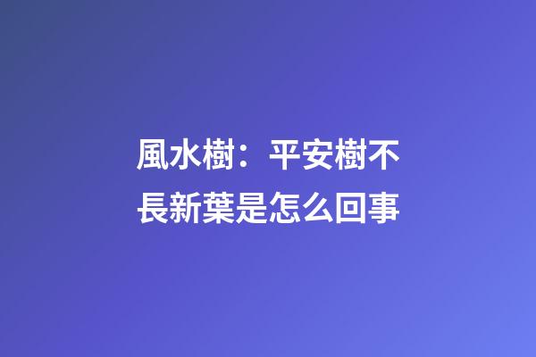 風水樹：平安樹不長新葉是怎么回事