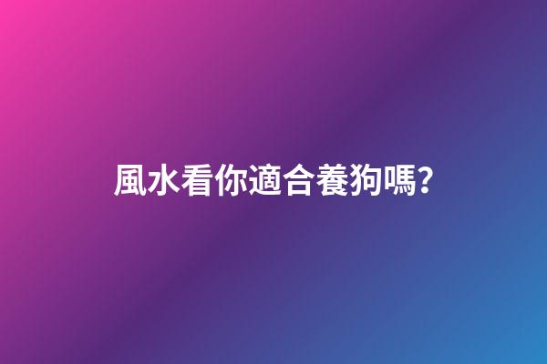 風水看你適合養狗嗎？