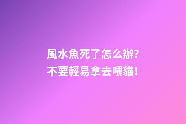 風水魚死了怎么辦？不要輕易拿去喂貓！