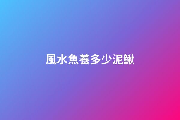 風水魚養多少泥鰍