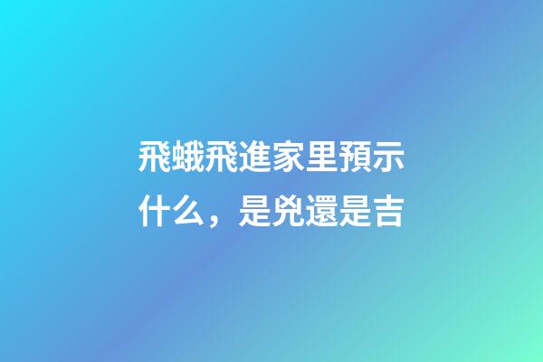 飛蛾飛進家里預示什么，是兇還是吉