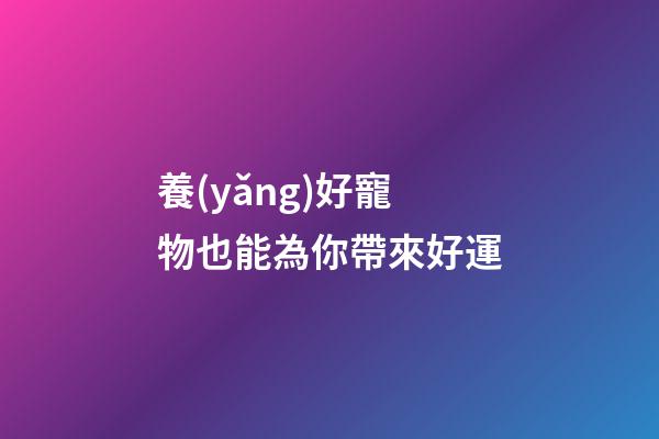 養(yǎng)好寵物也能為你帶來好運
