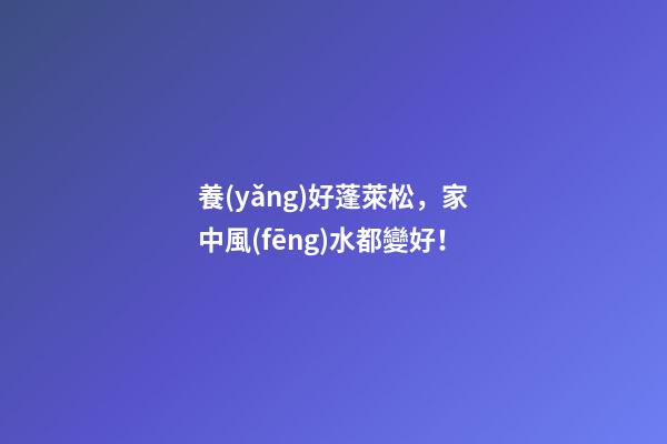 養(yǎng)好蓬萊松，家中風(fēng)水都變好！