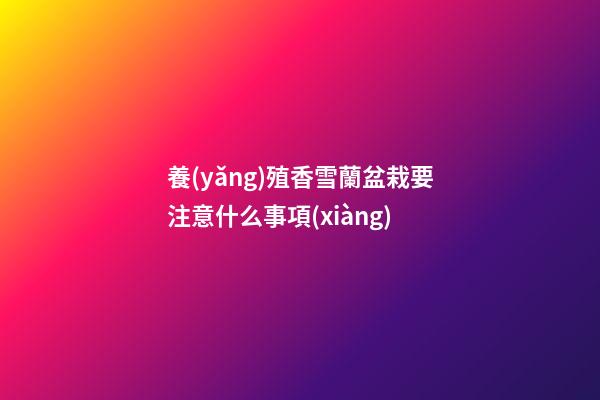 養(yǎng)殖香雪蘭盆栽要注意什么事項(xiàng)