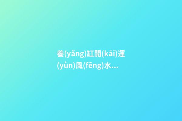 養(yǎng)缸開(kāi)運(yùn)風(fēng)水魚(yú)竅門