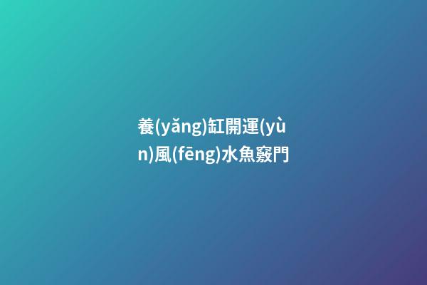 養(yǎng)缸開運(yùn)風(fēng)水魚竅門