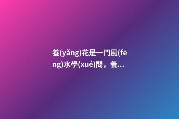 養(yǎng)花是一門風(fēng)水學(xué)問，養(yǎng)不同的花會帶來不同的運(yùn)氣