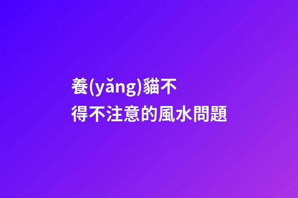 養(yǎng)貓不得不注意的風水問題