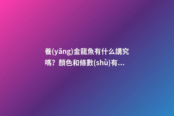 養(yǎng)金龍魚有什么講究嗎？顏色和條數(shù)有不同的寓意