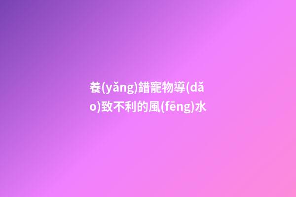 養(yǎng)錯寵物導(dǎo)致不利的風(fēng)水