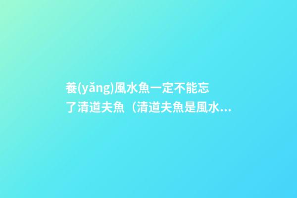 養(yǎng)風水魚一定不能忘了清道夫魚（清道夫魚是風水魚嗎）