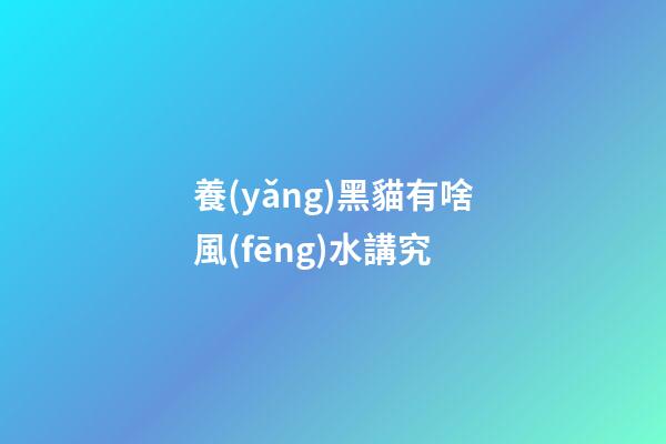 養(yǎng)黑貓有啥風(fēng)水講究