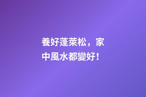 養好蓬萊松，家中風水都變好！
