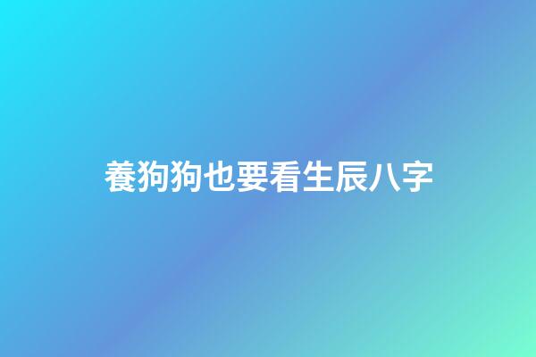 養狗狗也要看生辰八字