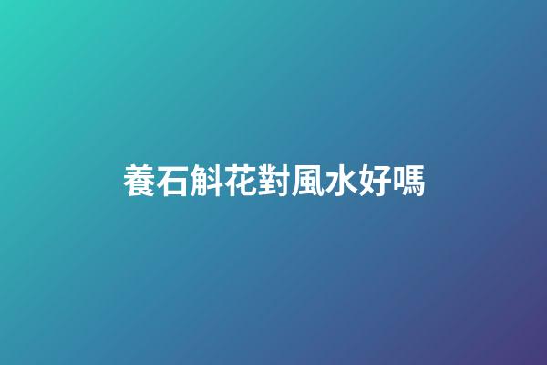 養石斛花對風水好嗎