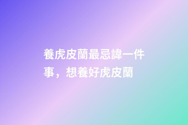 養虎皮蘭最忌諱一件事，想養好虎皮蘭-第1張-觀點-玄機派
