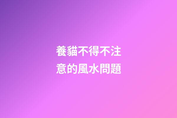 養貓不得不注意的風水問題