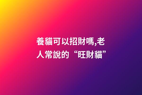 養貓可以招財嗎,老人常說的“旺財貓”-第1張-觀點-玄機派