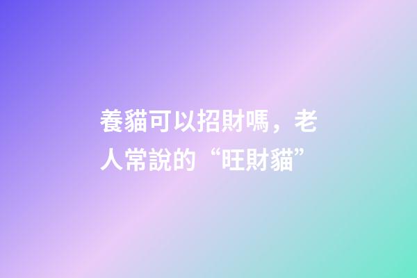 養貓可以招財嗎，老人常說的“旺財貓”-第1張-觀點-玄機派