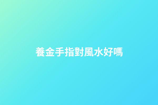 養金手指對風水好嗎