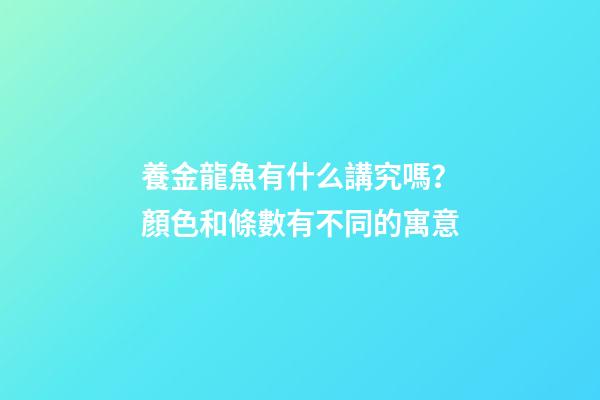 養金龍魚有什么講究嗎？顏色和條數有不同的寓意