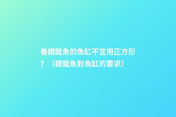 養銀龍魚的魚缸不宜用正方形？（銀龍魚對魚缸的要求）