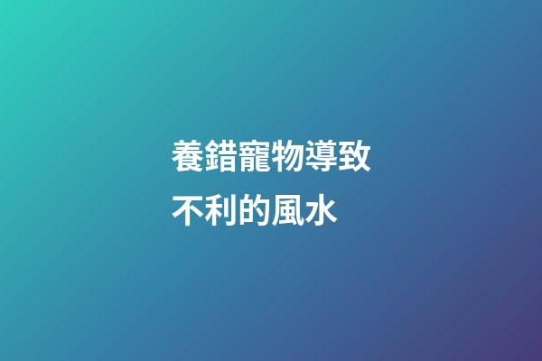養錯寵物導致不利的風水