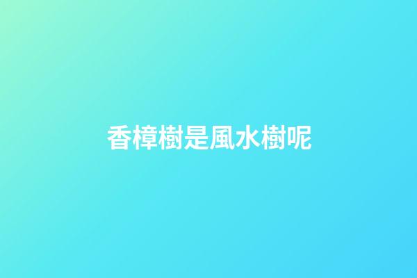 香樟樹是風水樹呢