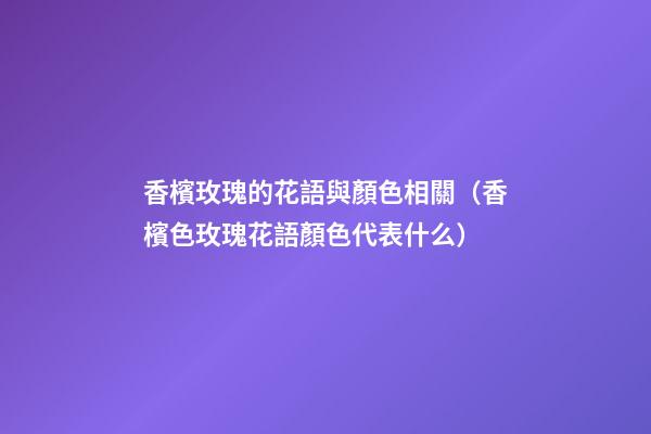 香檳玫瑰的花語與顏色相關（香檳色玫瑰花語顏色代表什么）