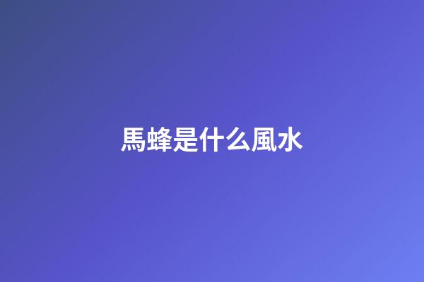 馬蜂是什么風水