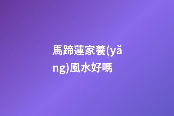 馬蹄蓮家養(yǎng)風水好嗎