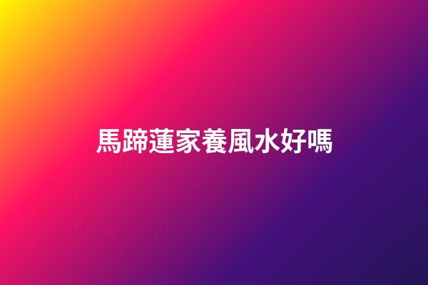 馬蹄蓮家養風水好嗎