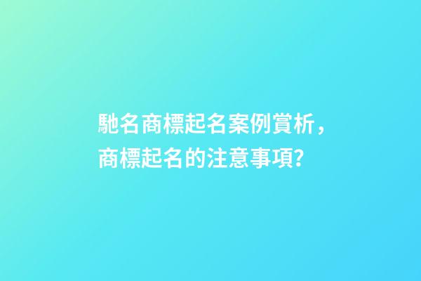 馳名商標起名案例賞析，商標起名的注意事項？-第1張-商標起名-玄機派