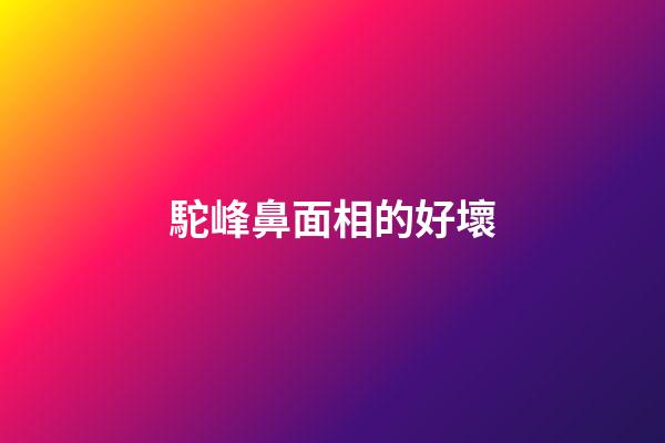 駝峰鼻面相的好壞