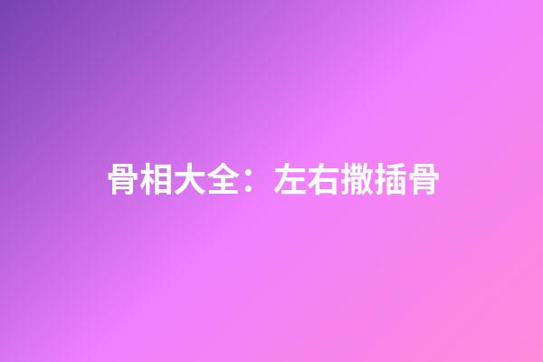 骨相大全：左右撒插骨