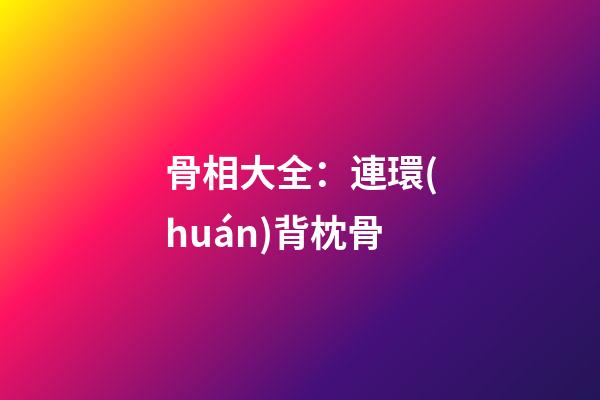 骨相大全：連環(huán)背枕骨