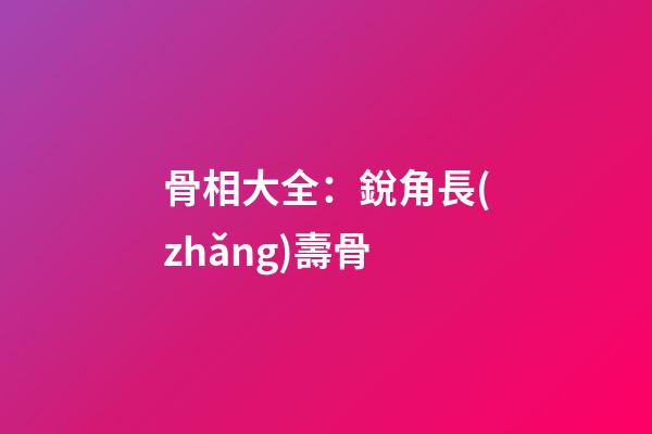 骨相大全：銳角長(zhǎng)壽骨