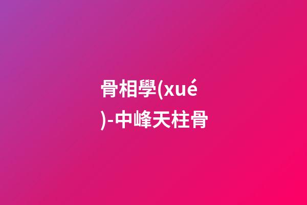 骨相學(xué)-中峰天柱骨